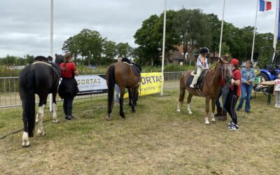 Eventing Flevoland