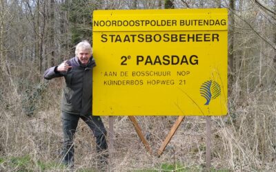 Buitendag