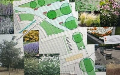 Harmen Visserplein gaat op de schop en wordt vergroend